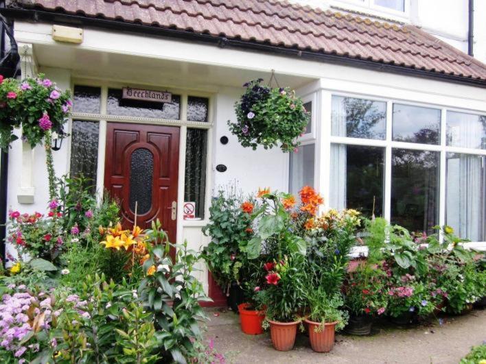 Beechlands B & B Sleights Esterno foto