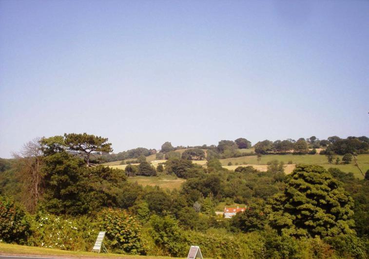Beechlands B & B Sleights Esterno foto