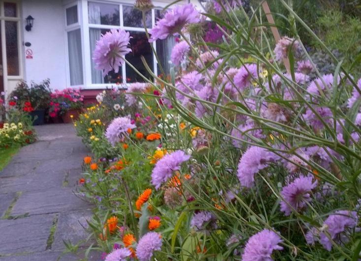 Beechlands B & B Sleights Esterno foto